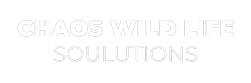 Chaos Wild life Solutions